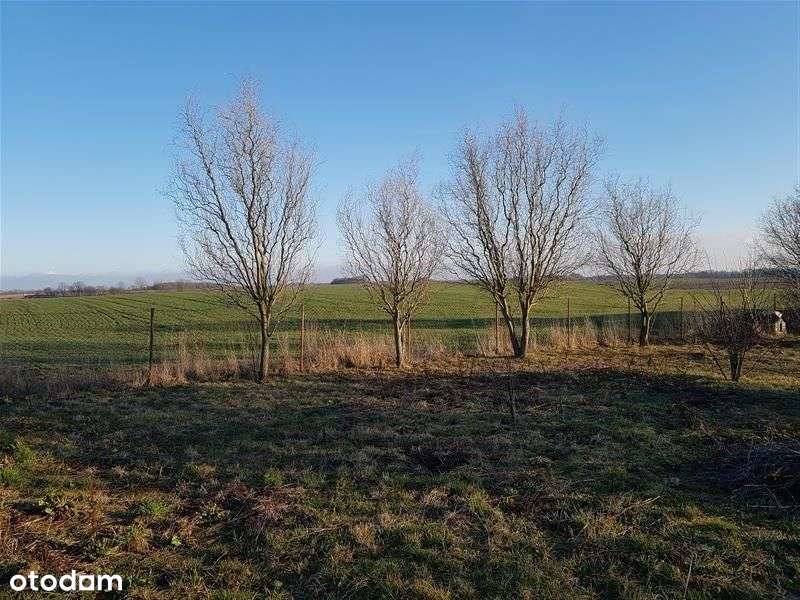 Tymień działki inwestycyjne,budowlane 5km od morza-5