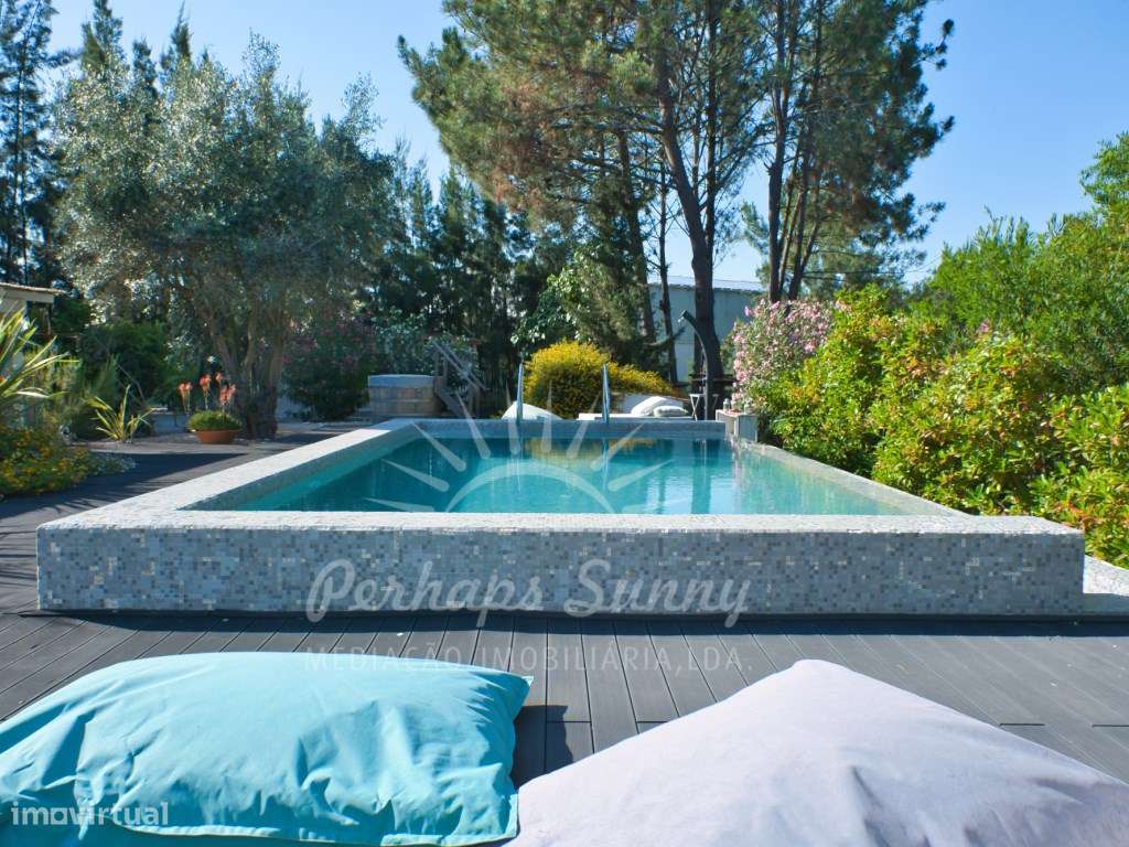 Quinta - Muda - Grande imagem: 5/60