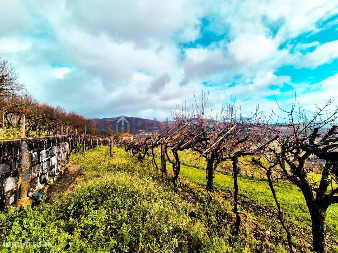 Quinta com 5250 m² & Moradia T1 em Pedra – Baião-40