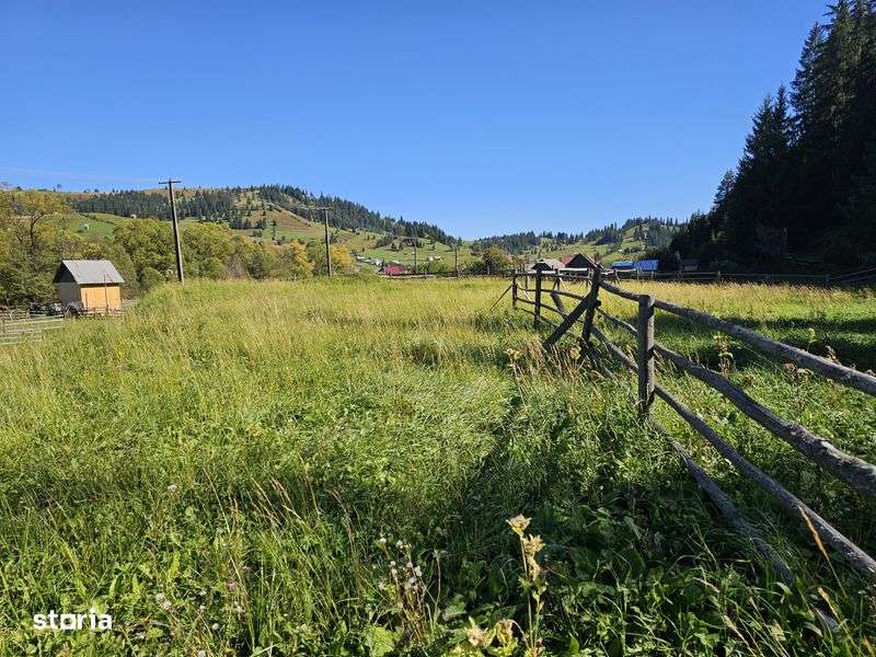 Teren Intravilan de vanzare in Bucovina Breaza - Imagine principală: 4/8