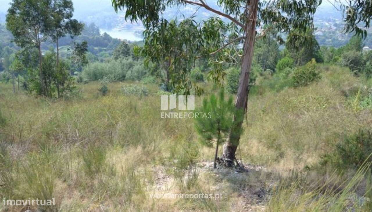 Venda Terreno Urbano, Fornos, Marco de Canaveses - Grande imagem: 3/8