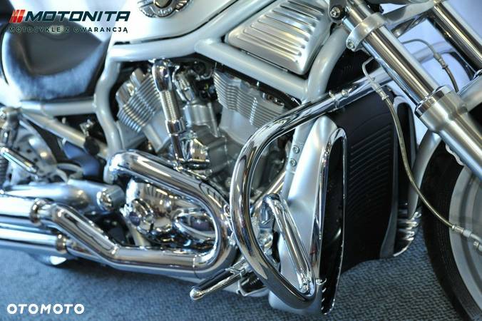 Harley-Davidson Softail V-Rod - 7