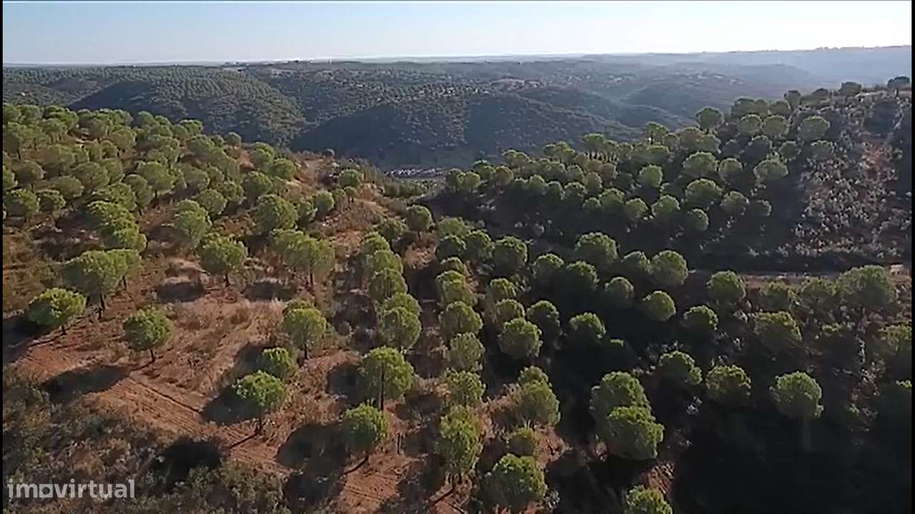 Herdade com área total de 135 hectares a confinar 3km com o Rio Guadia - Grande imagem: 4/8