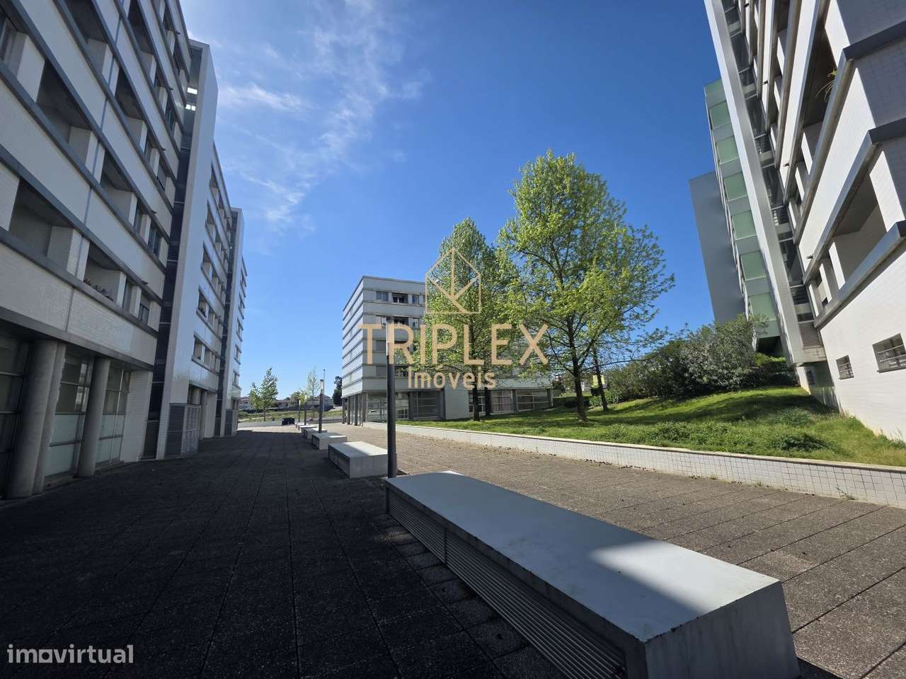 Loja c/ 3 montras - Grande imagem: 3/13