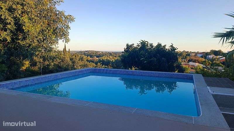 Moradia V3 isolada 2700m2 terreno - Grande imagem: 5/12