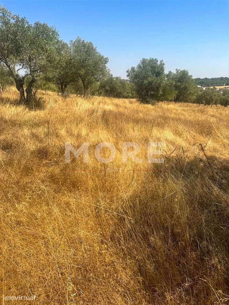 Terreno  Venda em Alcáçovas,Viana do Alentejo - Grande imagem: 2/2