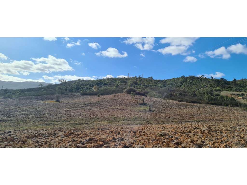 Monte Alentejano com projecto-9