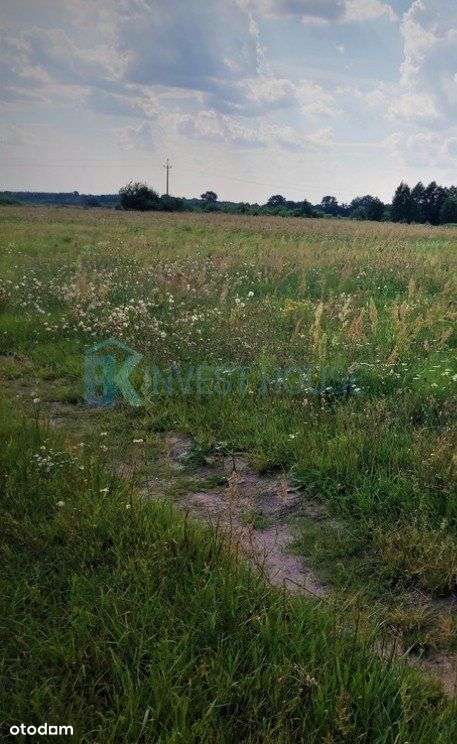 Polecam! Urocza działka, tylko 30 min jazdy doW-wa-1