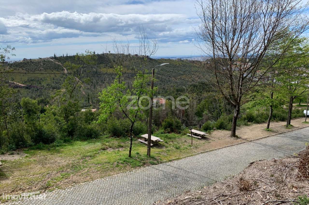 Terreno para exploração florestal e agrícola - Santa Justa, Valongo - Grande imagem: 3/19