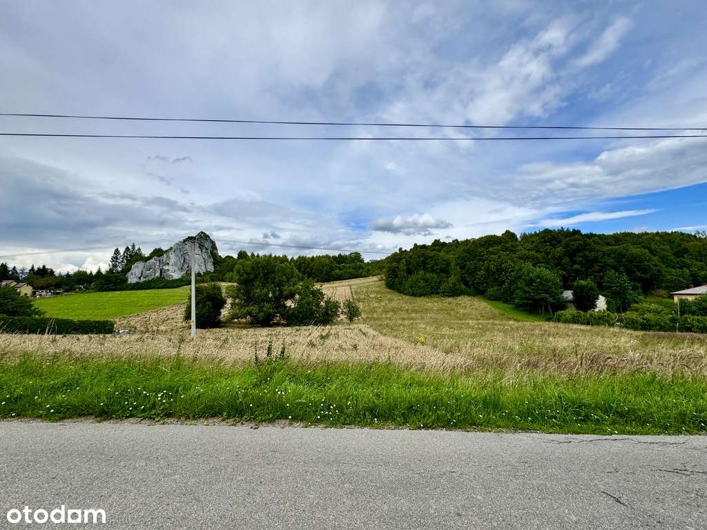 Działka tuż pod Grodziskiem (Skała 502) - Pełny obrazek: 5/6