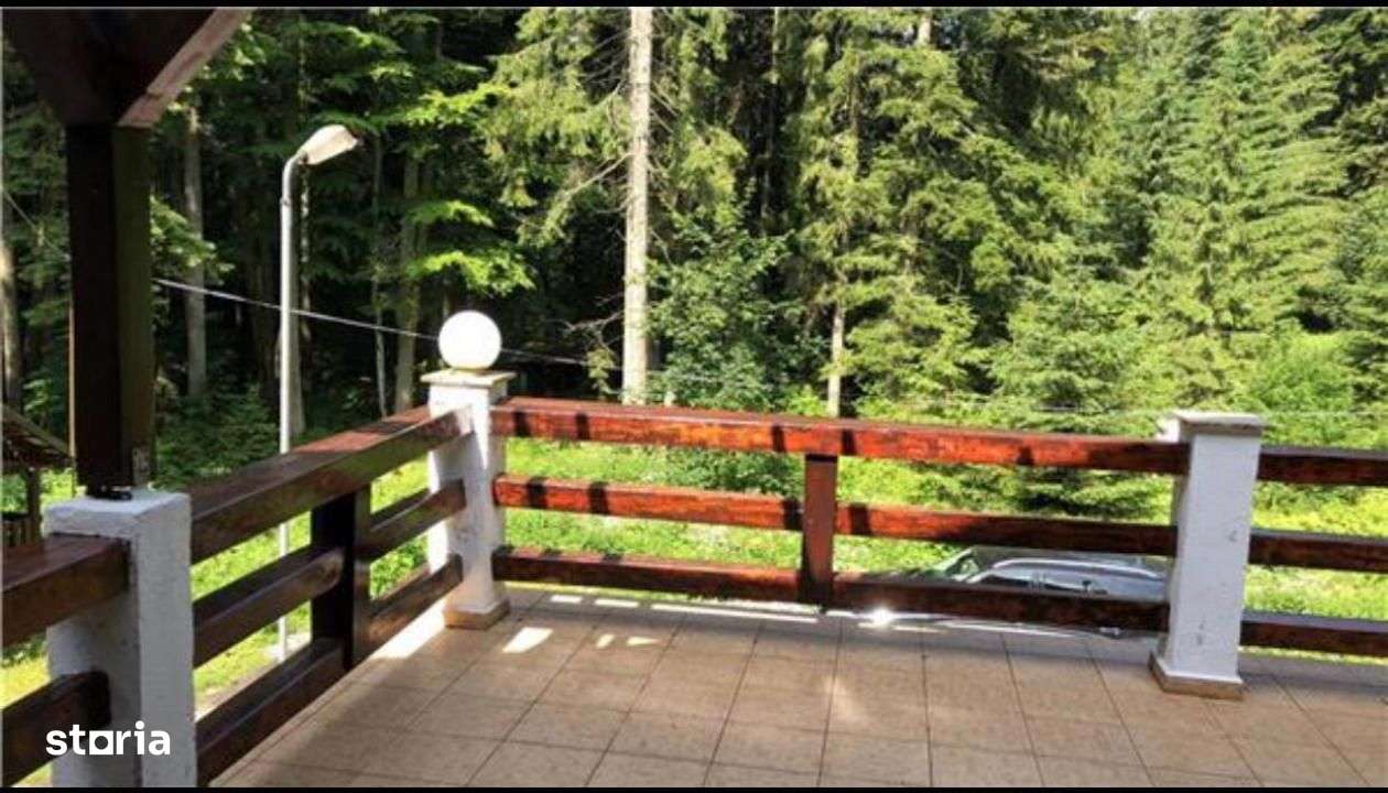 Nou | Conac Superb la Munte / 8 Camere / Teren 2000 mp /  Zona Predeal - Imagine principală: 4/20