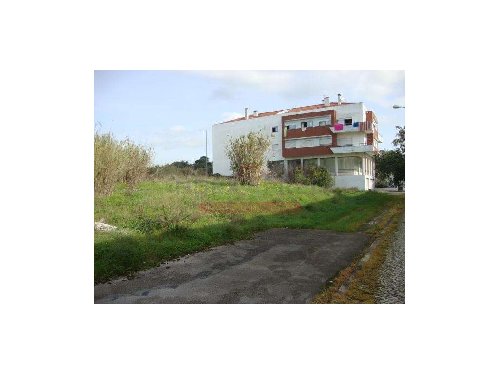 Quatro Lotes para Construção em Altura - Figueira da Foz - Grande imagem: 5/7