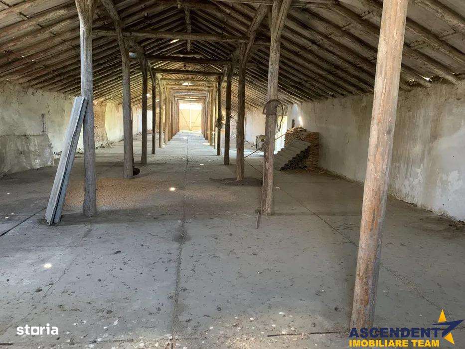 Spatiu comercialIndustrial multifunctional: productie, depozitare, log - Imagine principală: 5/7