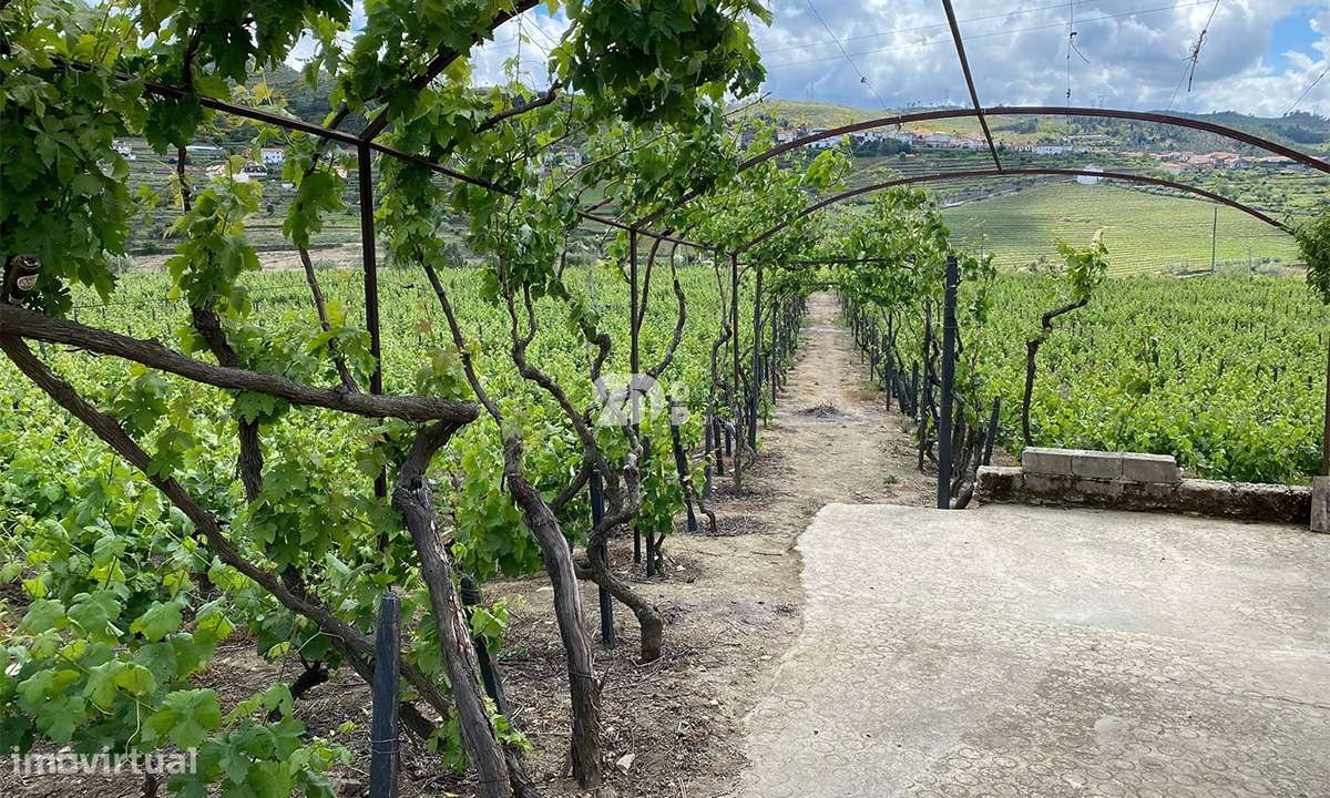 Terreno 14720m² - Barcos - Grande imagem: 5/13