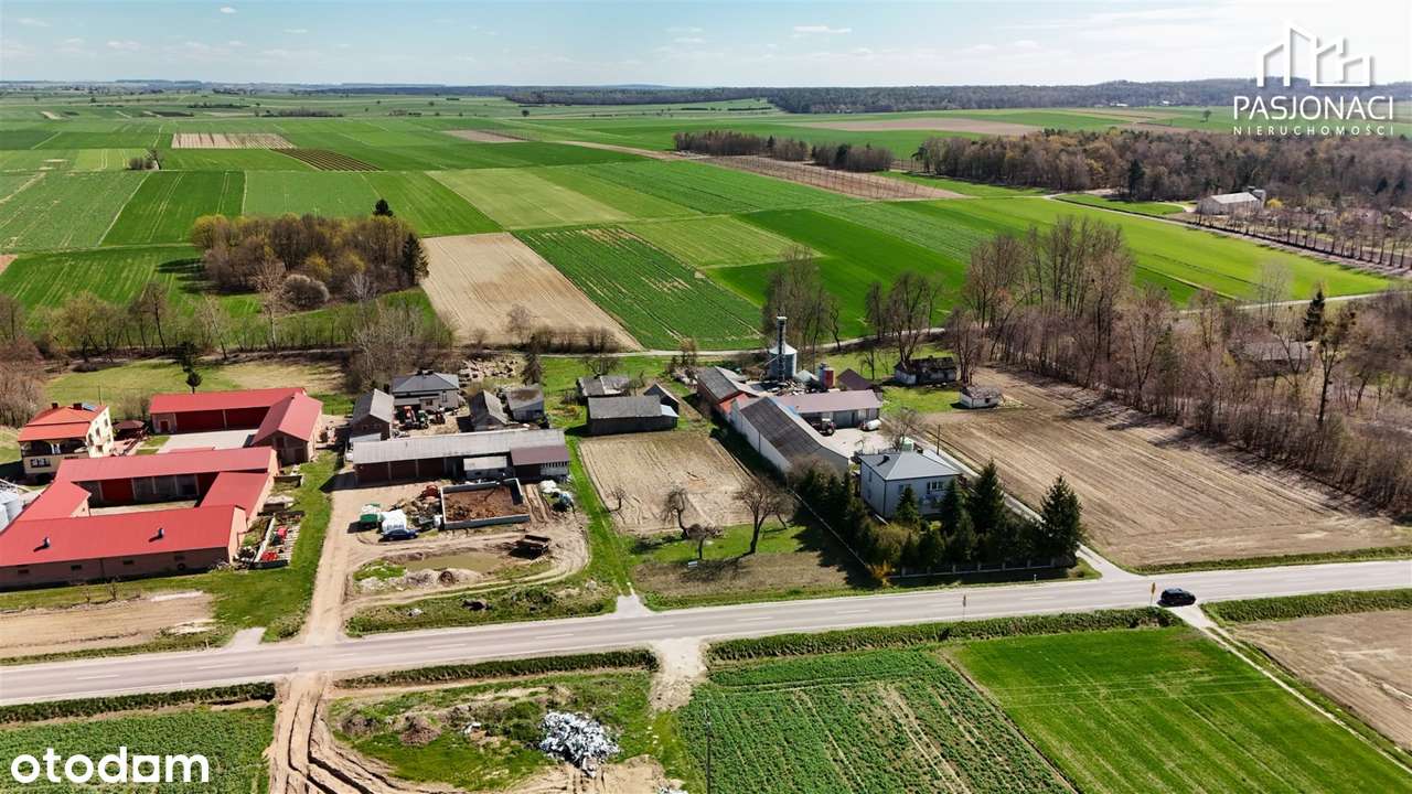 Działka z nasadzeniami Majdanek Kozicki gm. Piask - Pełny obrazek: 4/8