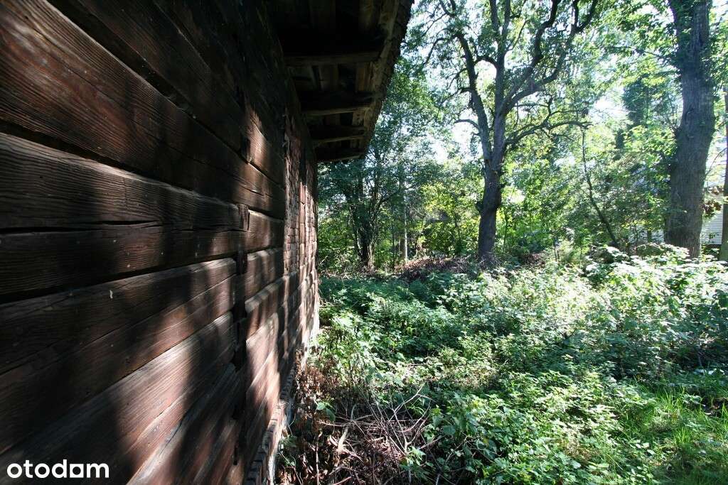 Niezbędna wyobraźnia, kasa i odrobina szaleństwa-5