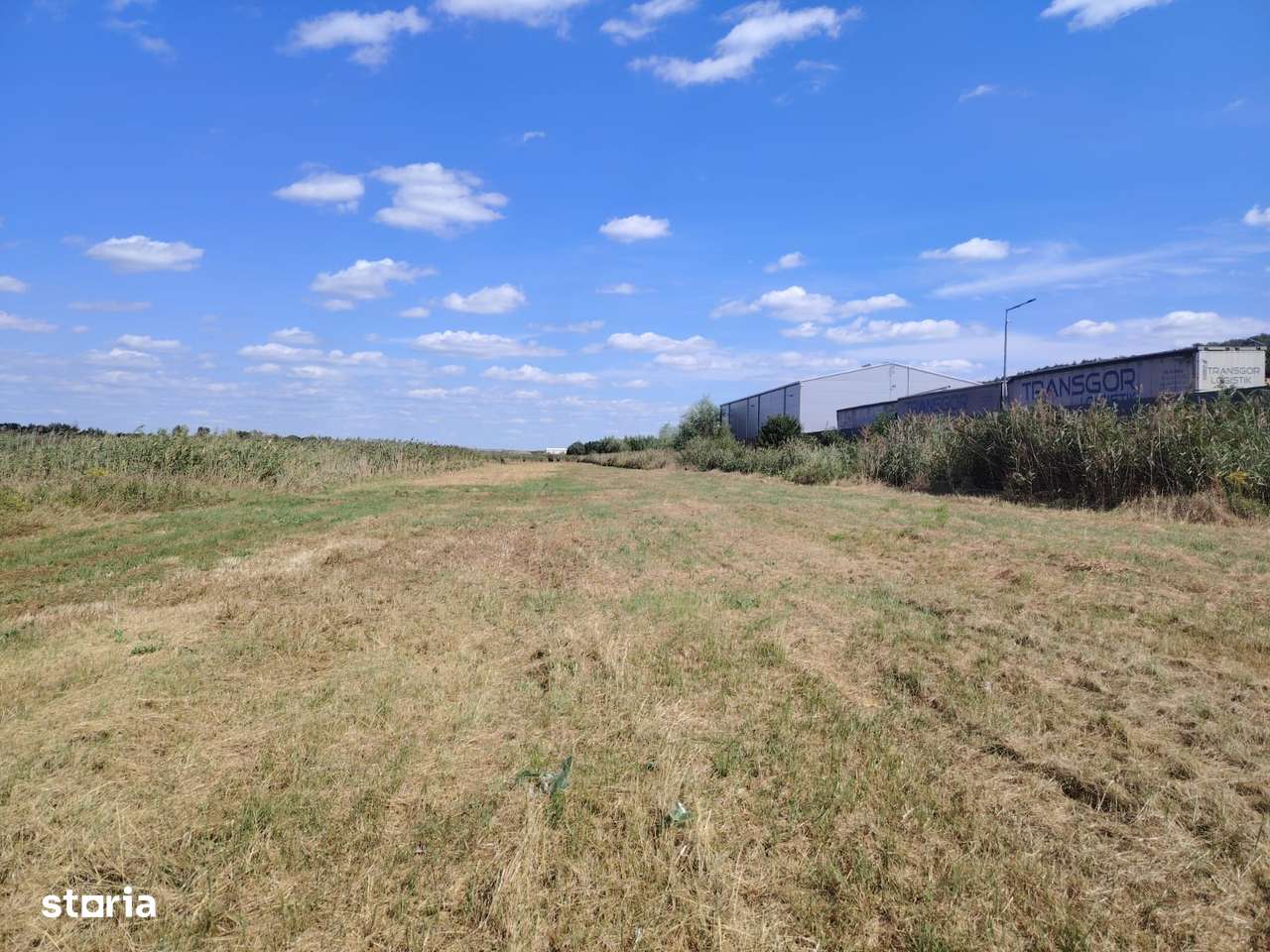 Teren intravilan industrial – Tomești, zona Contom - Imagine principală: 5/5