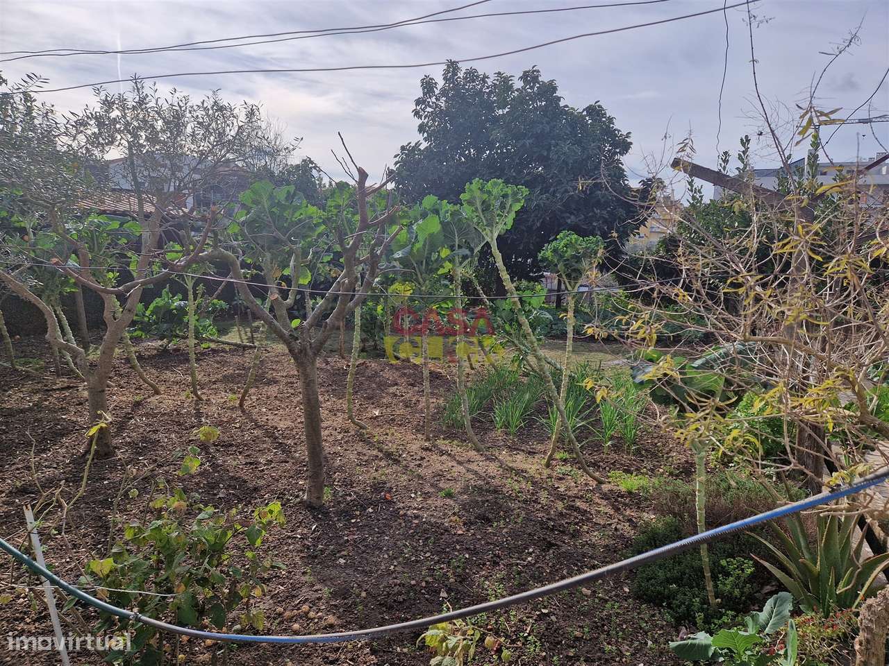 Quintinha T6 Venda em Nossa Senhora de Fátima,Entroncamento-10