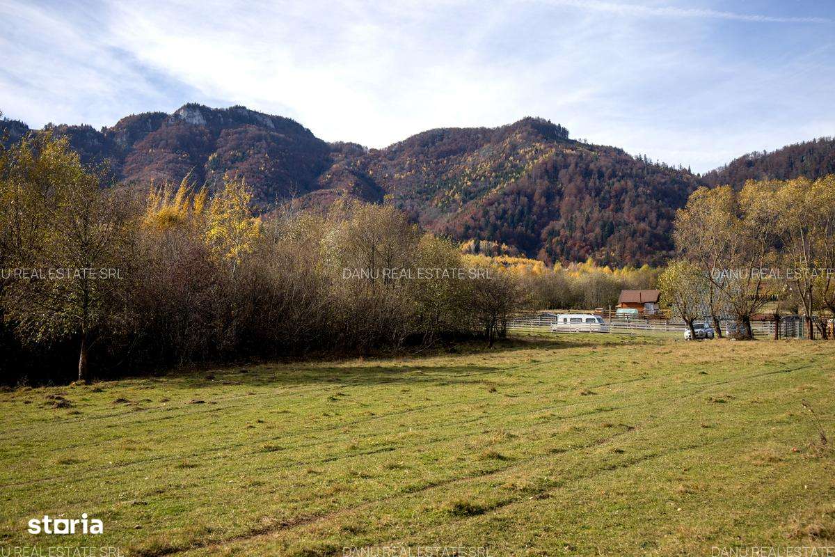 Comision0Teren intravilan 5723mp Zarnesti Tohanita-investitie - turism-7