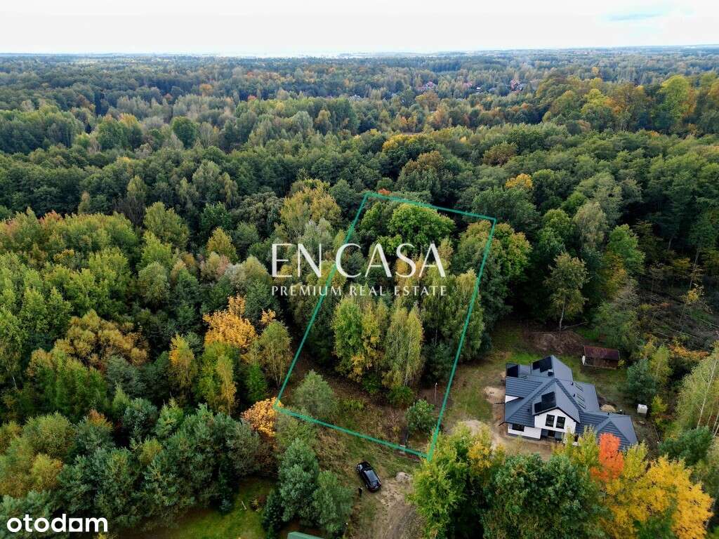 Działka 2721m2 w otoczeniu lasu - Pełny obrazek: 5/9