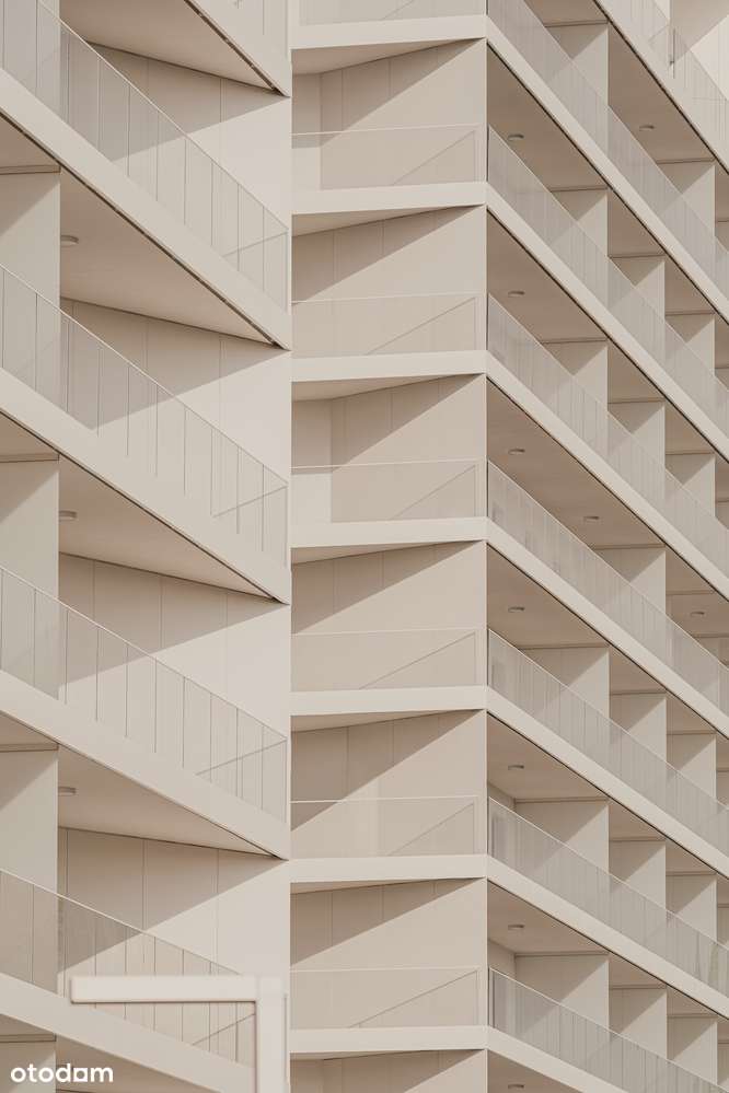 NOHO I Lokal na wynajem bezpośrednio I Parter I Witryna I N14 - Pełny obrazek: 5/7