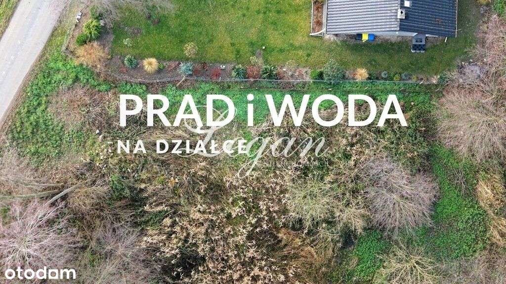Działka w Zielonej Okolicy - Jasiniec - Bogdaniec. - Pełny obrazek: 5/6