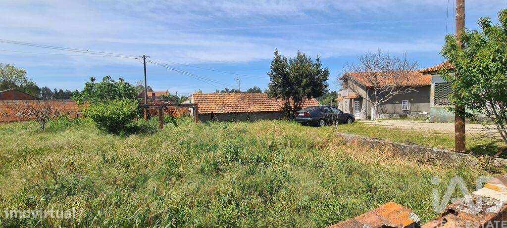 Terreno em Santo André de Vagos de 765,00 m2 - Grande imagem: 3/10