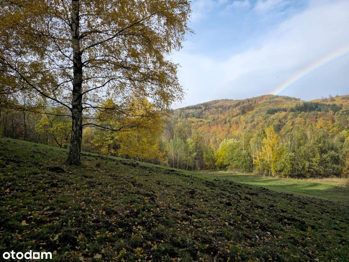 4 Działki przy lesie z widokiem na Góry Sowie-10