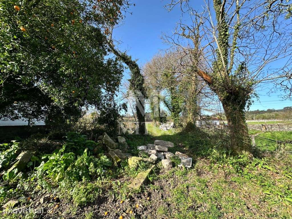 Terreno de construção em Vila Fria - Viana do Castelo - Grande imagem: 2/7