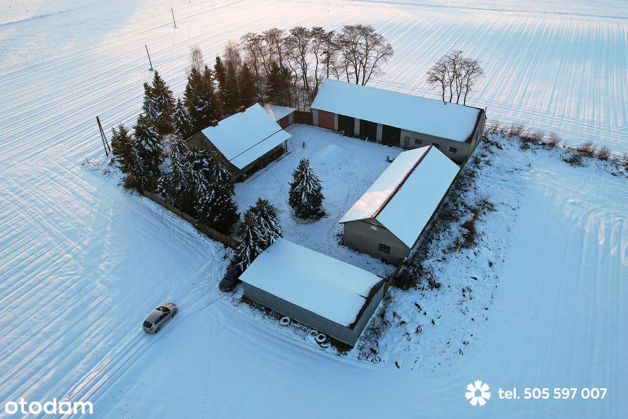 Na sprzedaż dom z budynkami i z dużą działką 5000 m2 - Pełny obrazek: 4/19