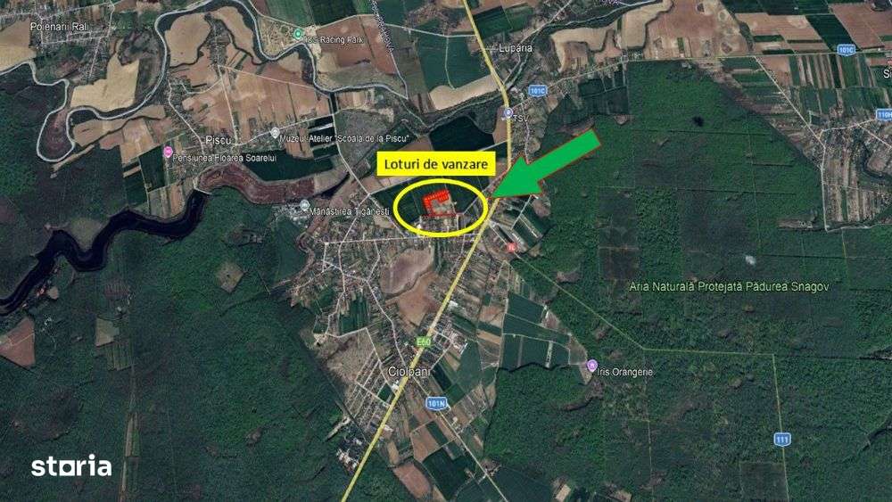 Loturi de casa -  1.000 mp intravilan - Strada Scolii - Ciolpani Ilfov - Imagine principală: 4/4