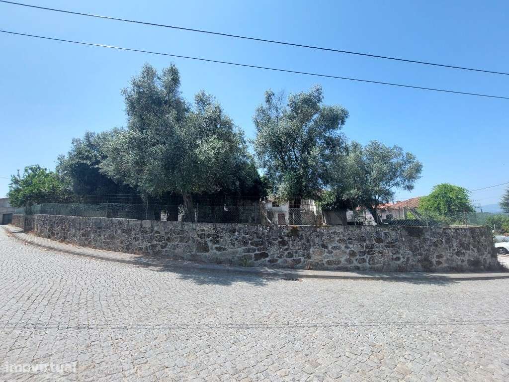 Quintinha - Crespos - Grande imagem: 5/8