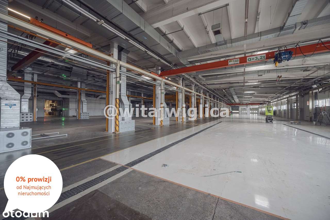 Magazyn, produkcja, plac manewrowy, zaplecze soc. - Pełny obrazek: 5/14