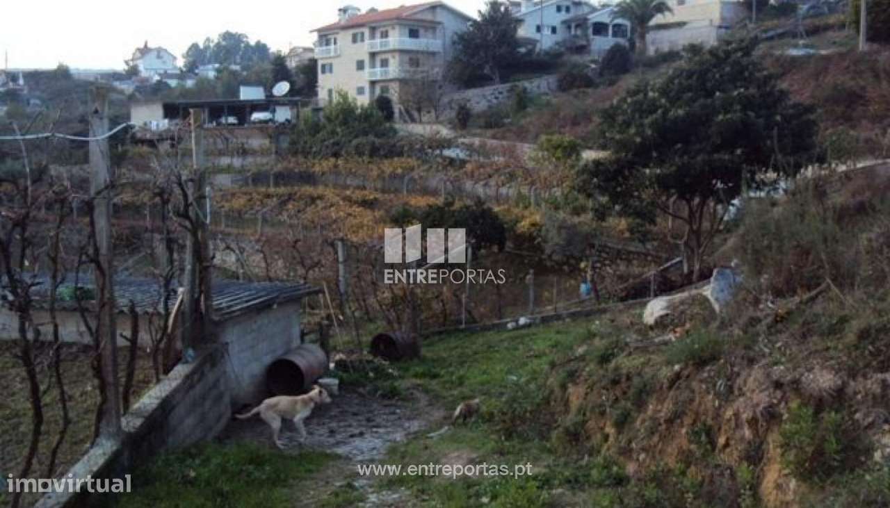 Venda Terreno, Rio de Moinhos, Penafiel - Grande imagem: 2/13