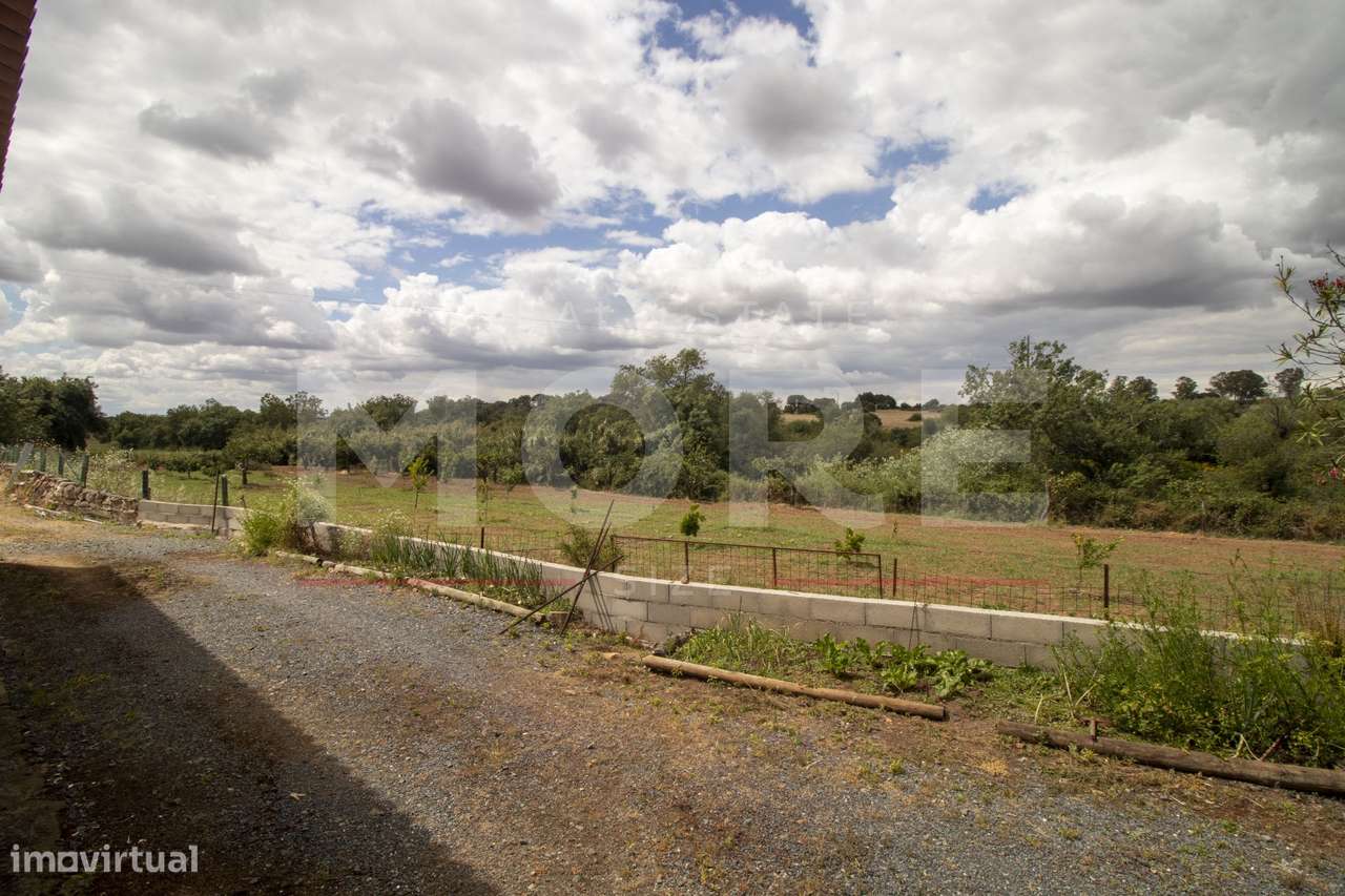Herdade - Alvito-38