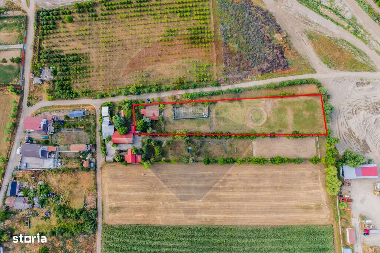 Teren intravilan de  4,000 mp in Zadareni - Imagine principală: 1/6