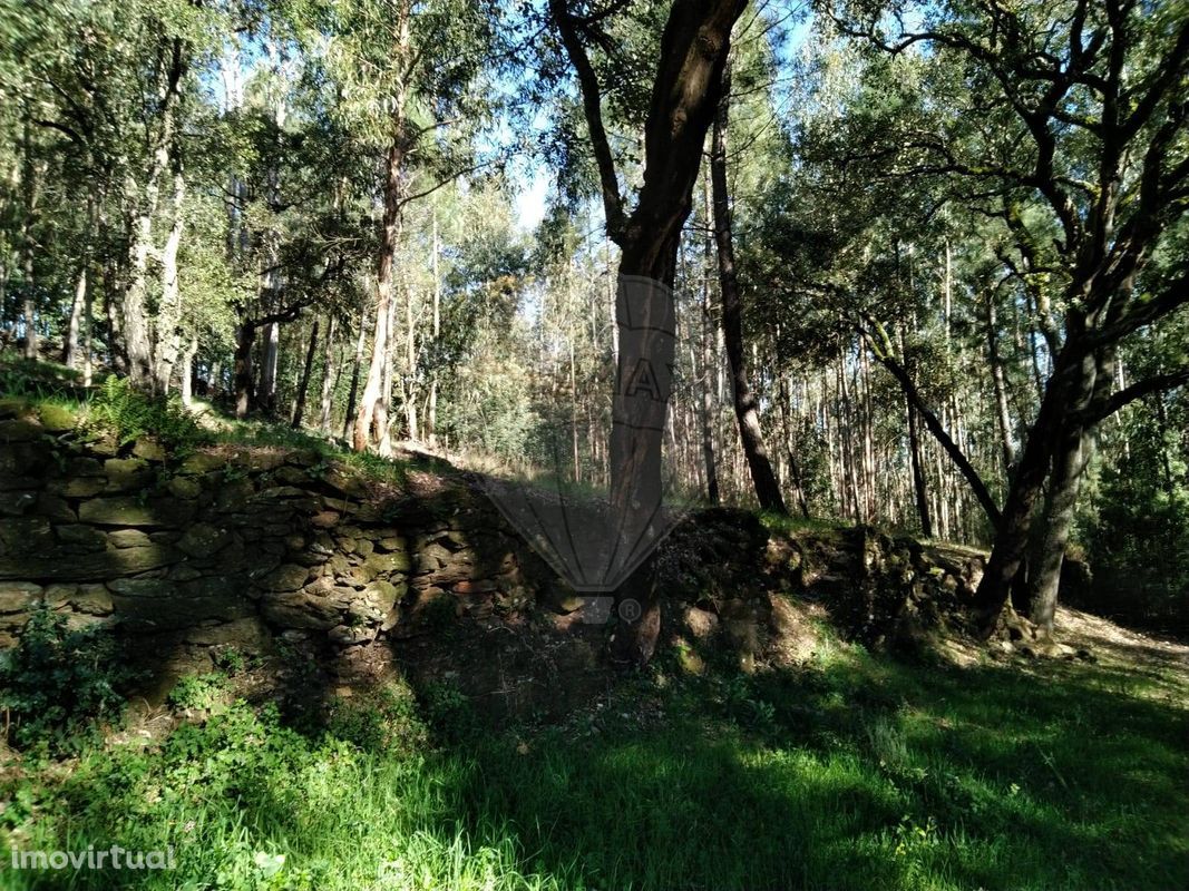 Terreno  para venda