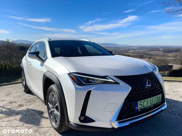 Lexus UX 300e 54.3 kWh Business Edition 2WD - 20