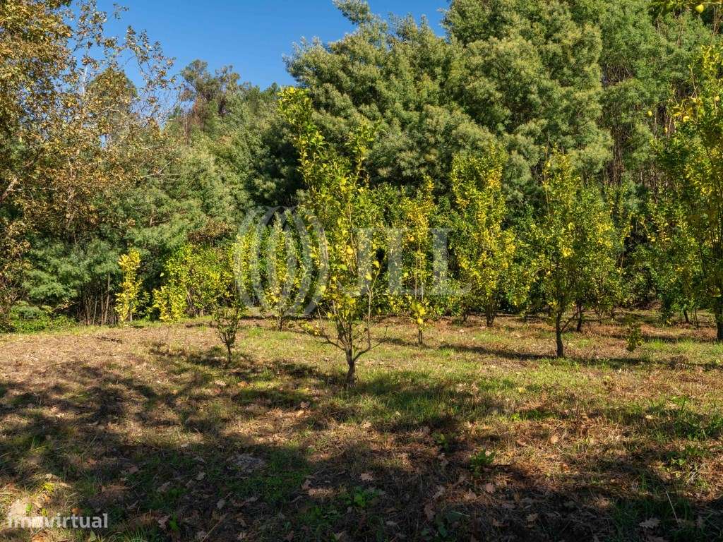 Quinta T4+6 com vista para o Rio Douro, em Baião, Porto-57