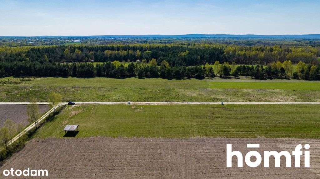 Ustawne i duże działki budowlane w Jankowicach - Pełny obrazek: 5/19