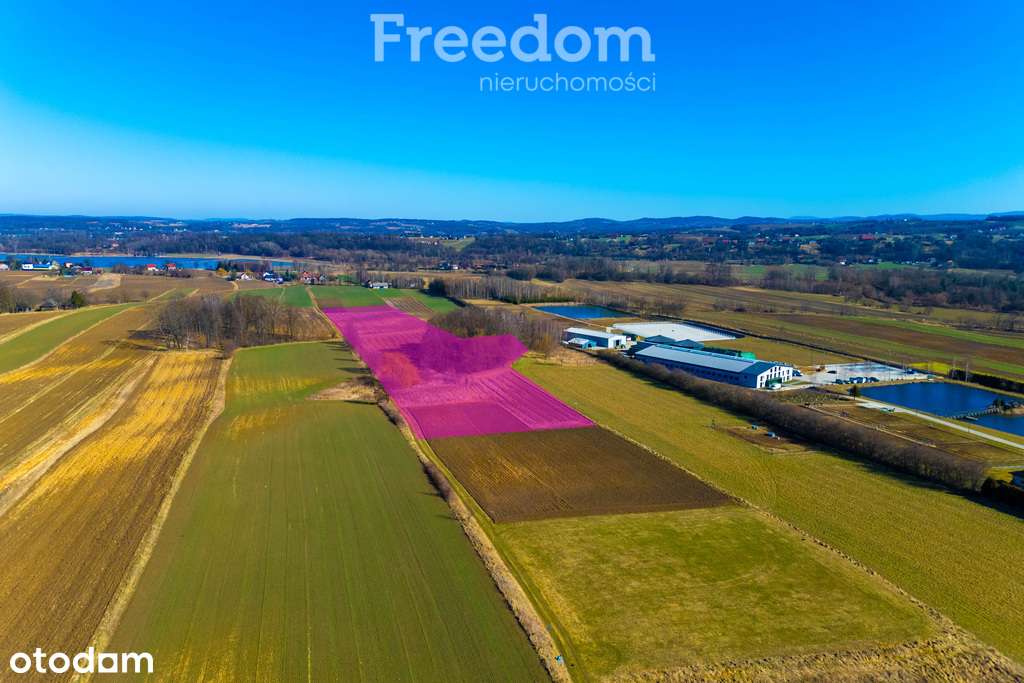 Duża widokowa działka z możliwością podziału! - Pełny obrazek: 3/8