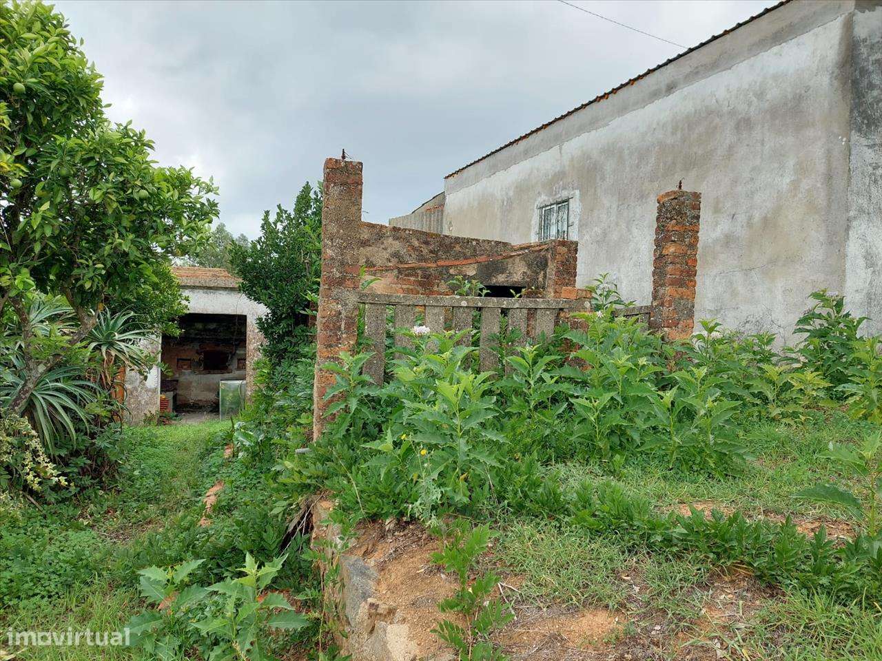 Ruína em Limeiras - Praia do Ribatejo - Grande imagem: 5/14