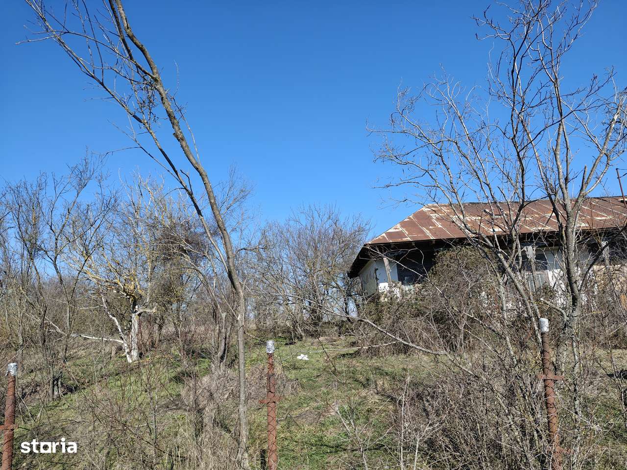 Teren 5600mp +casa demolabila 47km de Bucuresti sat Obedeni jud. Gr - Imagine principală: 4/9
