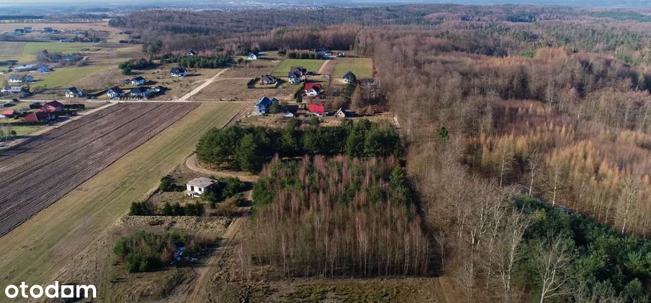 Tuż obok lasu|cisza|przepiękne widoki|szybki dojazd do obwodnicy - Pełny obrazek: 5/5