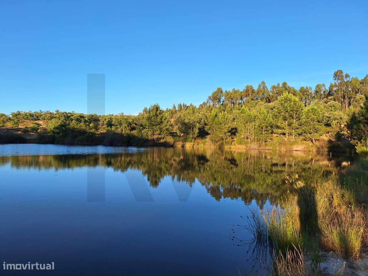 Herdade com 139 ha em Almeirim (Raposa) – produção, água e privacidade - Grande imagem: 4/21