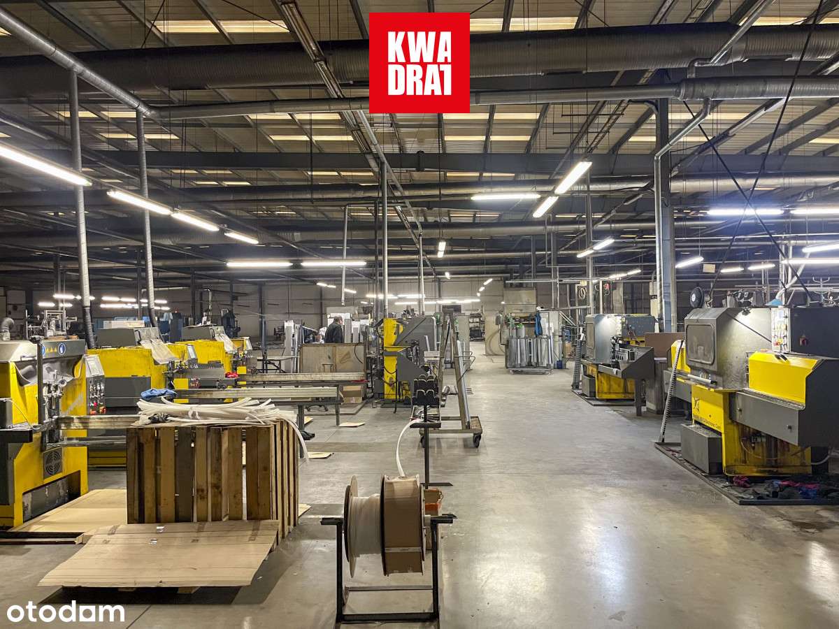 Investment Opportunity: Premium Industrial Complex-15