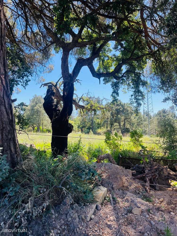 Terreno Rústico com pré-aprovação para Construção. - Grande imagem: 4/6