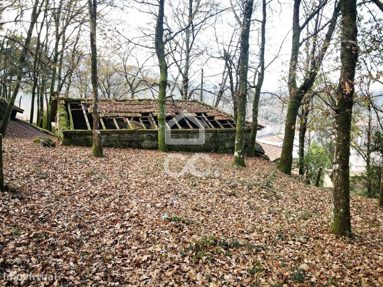 Quinta à venda em Rossas, Vieira do Minho-9