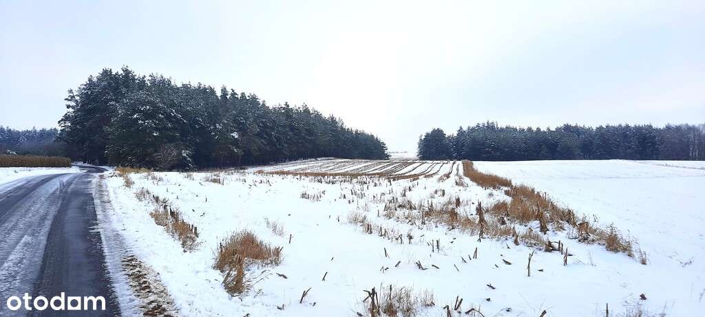 Działka z dala od sąsiadów/Stara Kamionka-1