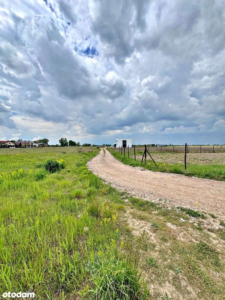 Działki Budowlane w Węgierkach | Zab. Jednorodzinna | 7 km Września - Pełny obrazek: 5/10